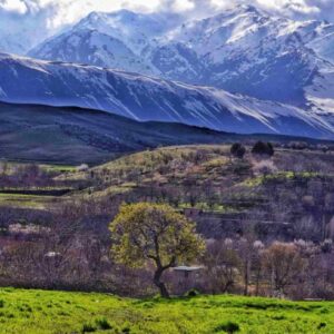 دانلود آهنگ دختر عمو جان ناز نکن تو خیلی ماهی دانلود آهنگ دختر عمو جان ناز نکن تو خیلی ماهی